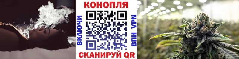 Конопля планчик Ак-Довурак
